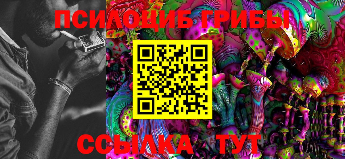 Галлюциногенные грибы Cubensis  Галлюциногенные грибы Psilocybine cubensis  Вход с VPN  Гусев 